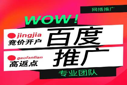 SEM推广优化中的关键词策略——以某品牌为例